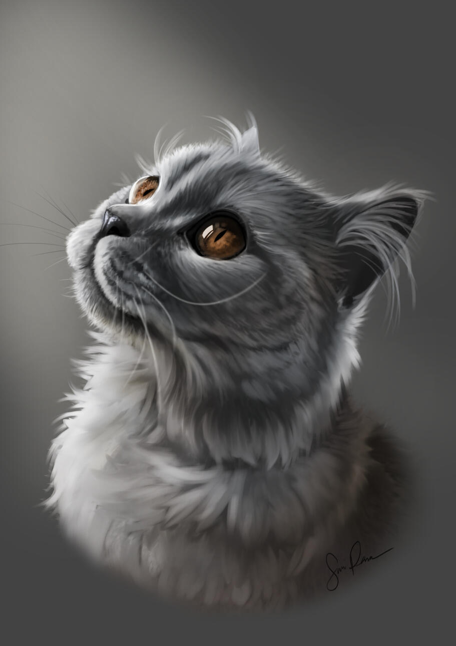 Digitaalinen piirros, A4